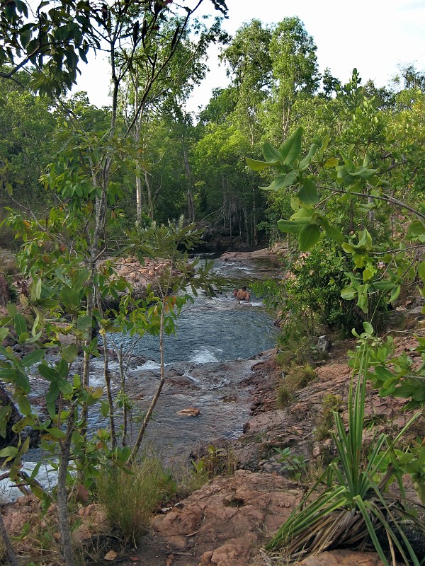 2009-11-06 22-00-55_1.jpg - Hier ist es ungefährlicher, mit einem Blick sieht man ob in dem Becken gerade ein Kroc ist...